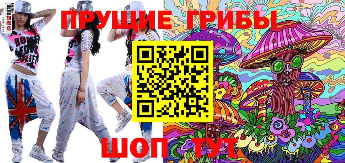 Псилоцибиновые грибы прущие грибы  Вход с VPN  Баксан  Псилоцибиновые грибы мухоморы 